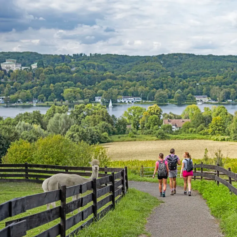 Wandergruppe am Baldeneysteig mit Blick auf den Baldeneysee