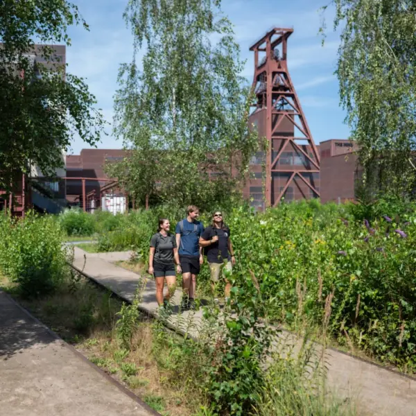 Zollvereinsteig am UNESCO-Welterbe Zollverein