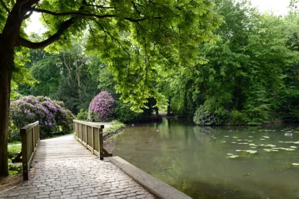 Brücke und Teich im Schlosspark Borbeck