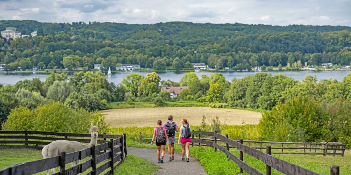Blick über den Baldeneysee vom BaldeneySteig