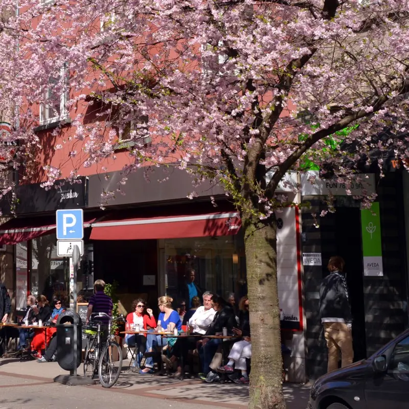 Straßencafé unter Kirschblüten auf der Rüttenscheider Straße