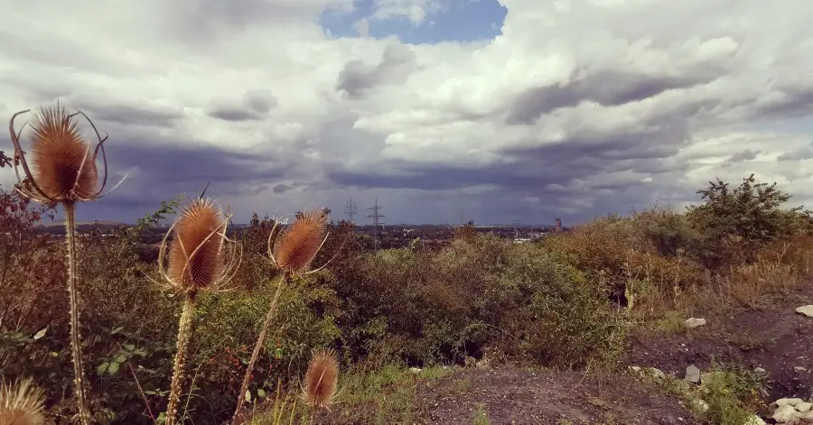 Ausblick von der Schurenbachhalde