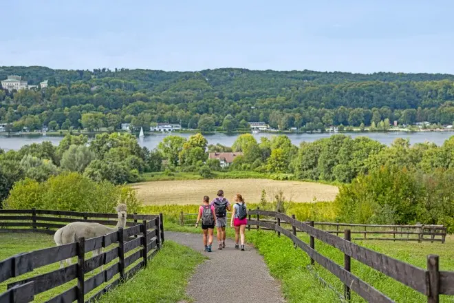 Wandern auf dem Baldeneysteig