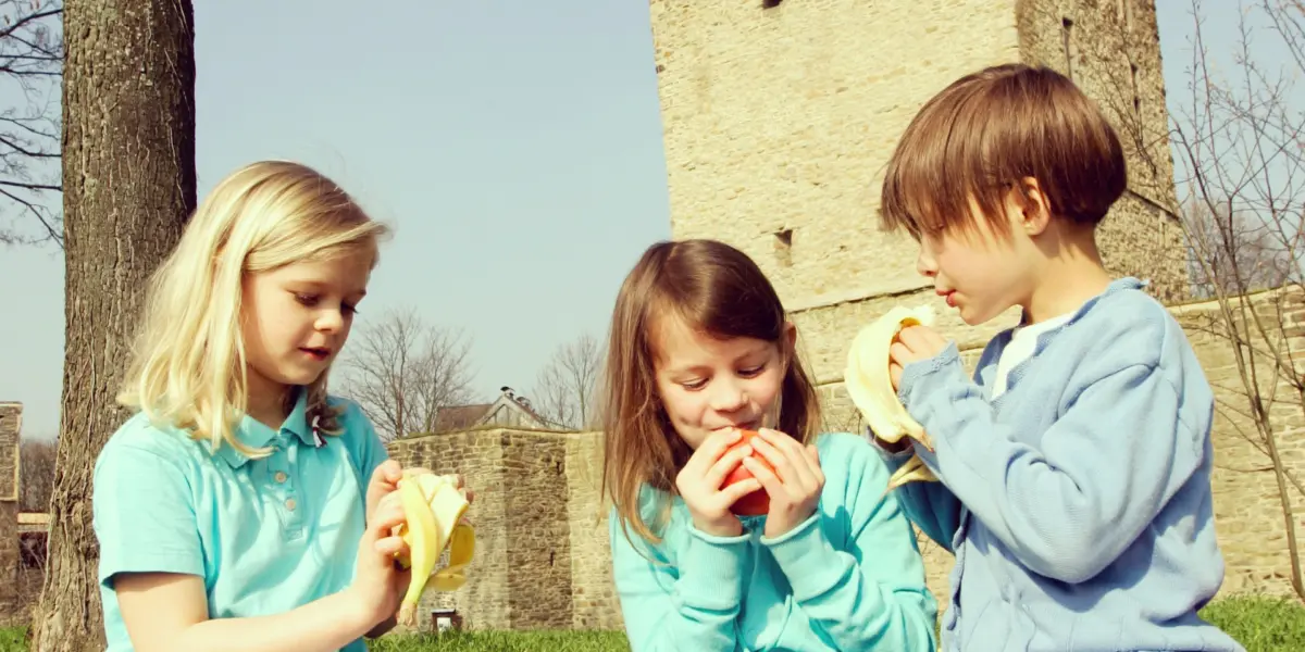 Picknick an der Ruine der Burg Altendorf