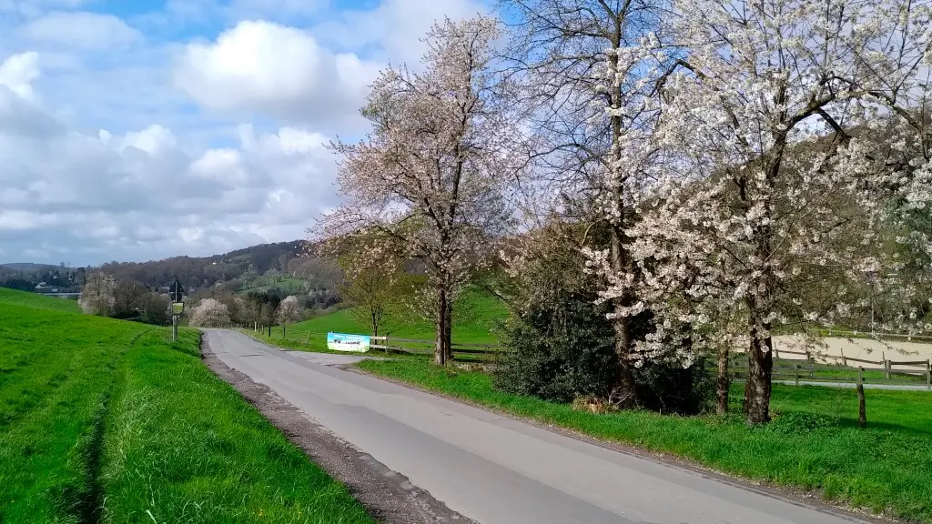 Balkhauser Tal am DeilbachSteig