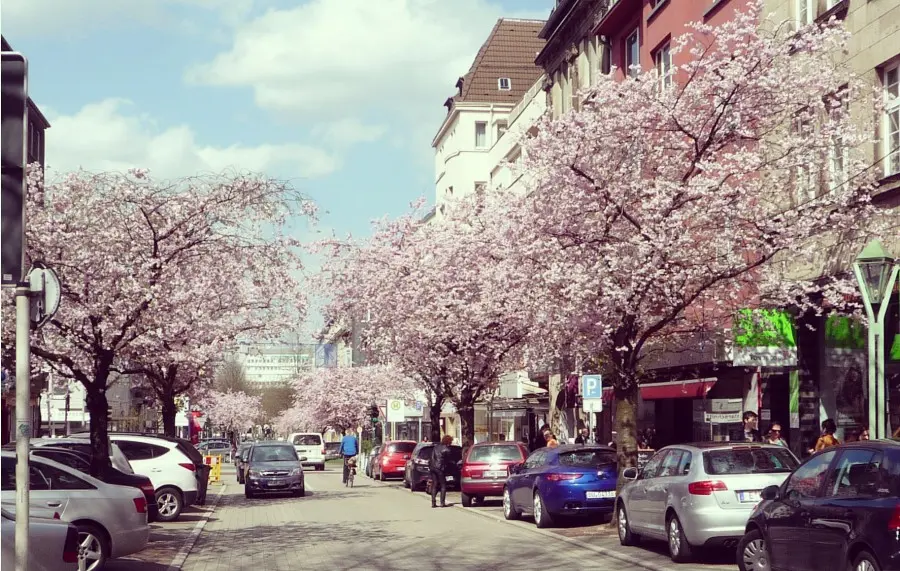 Rüttenscheider Straße