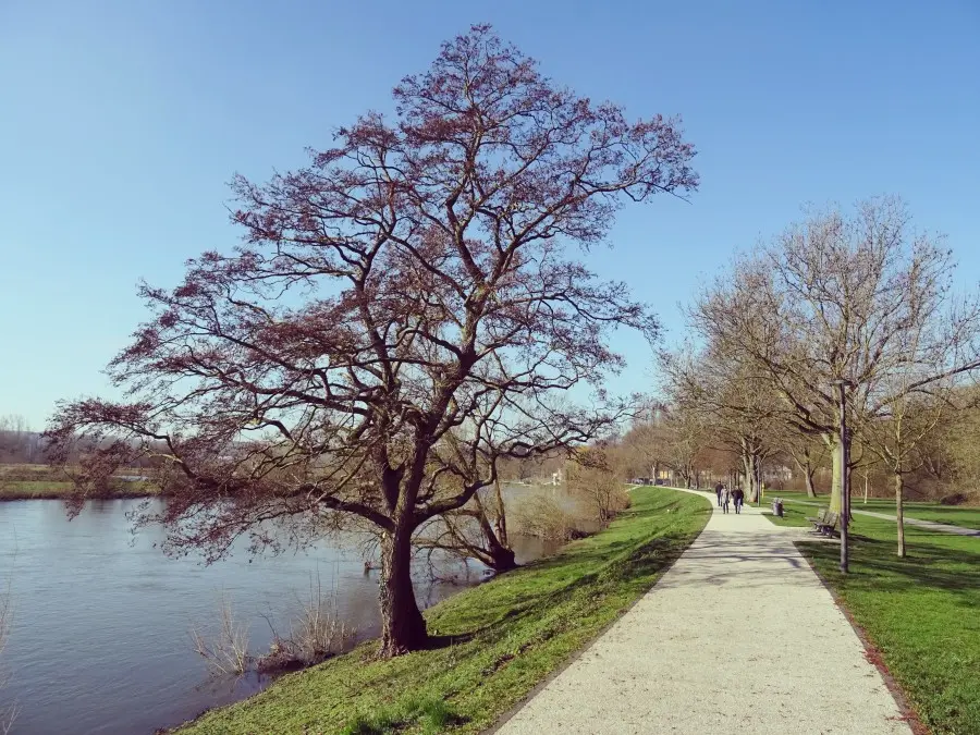 Ruhrufer