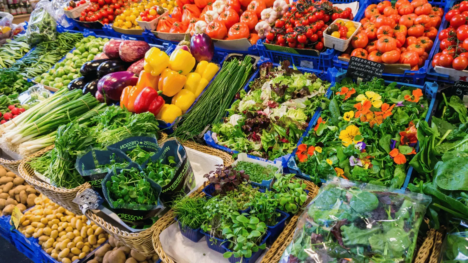 Marktstand mit Tomaten, Paprika, Salaten und Kräutern in blauen Kisten