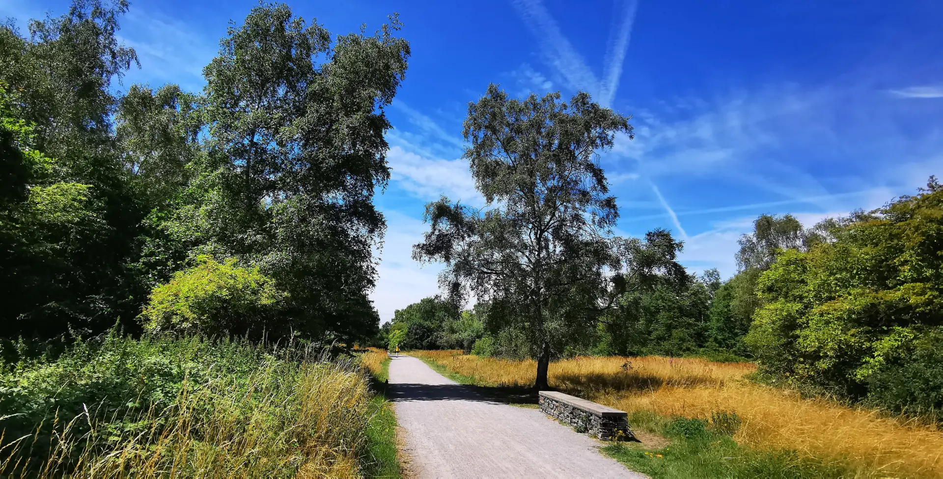 Gleispark Frintrop