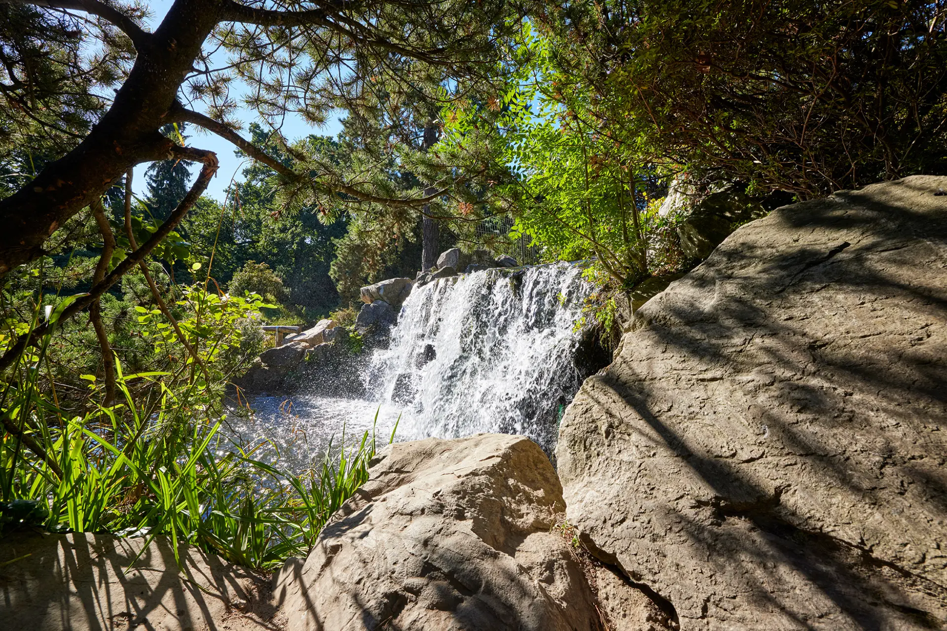 Wasserfall in hellem Wald mit üppigem Grün und Sonnenlicht auf Steinen, Naturidyll in Essen.