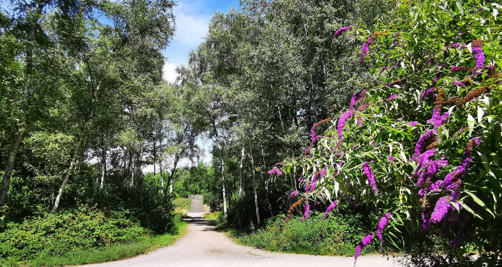 Gleispark Frintrop