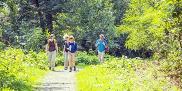 Wanderweg zwischen Tälern und Höhen im Essener Süden